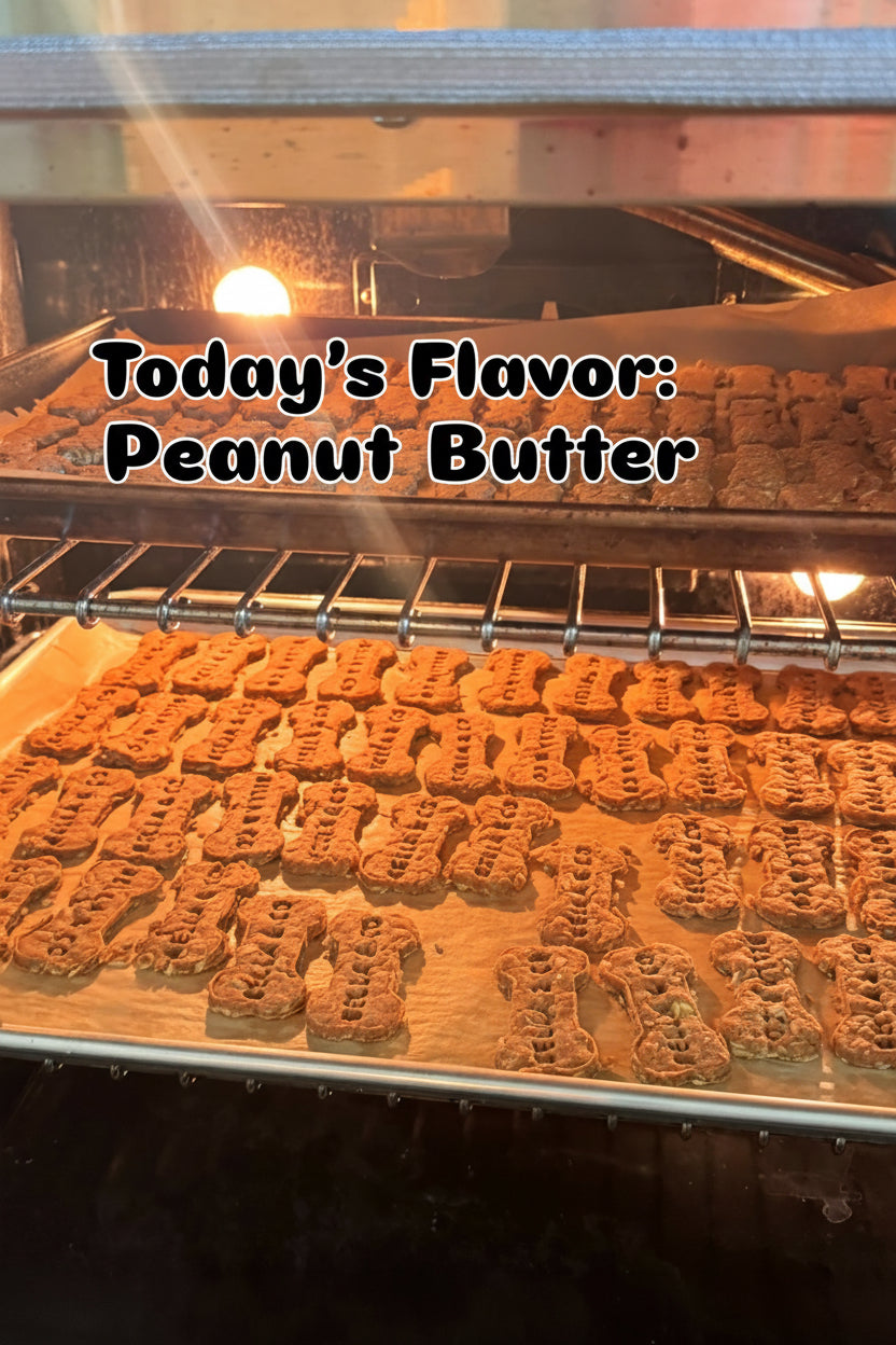 All Natural No Preservatives Dog Biscuits