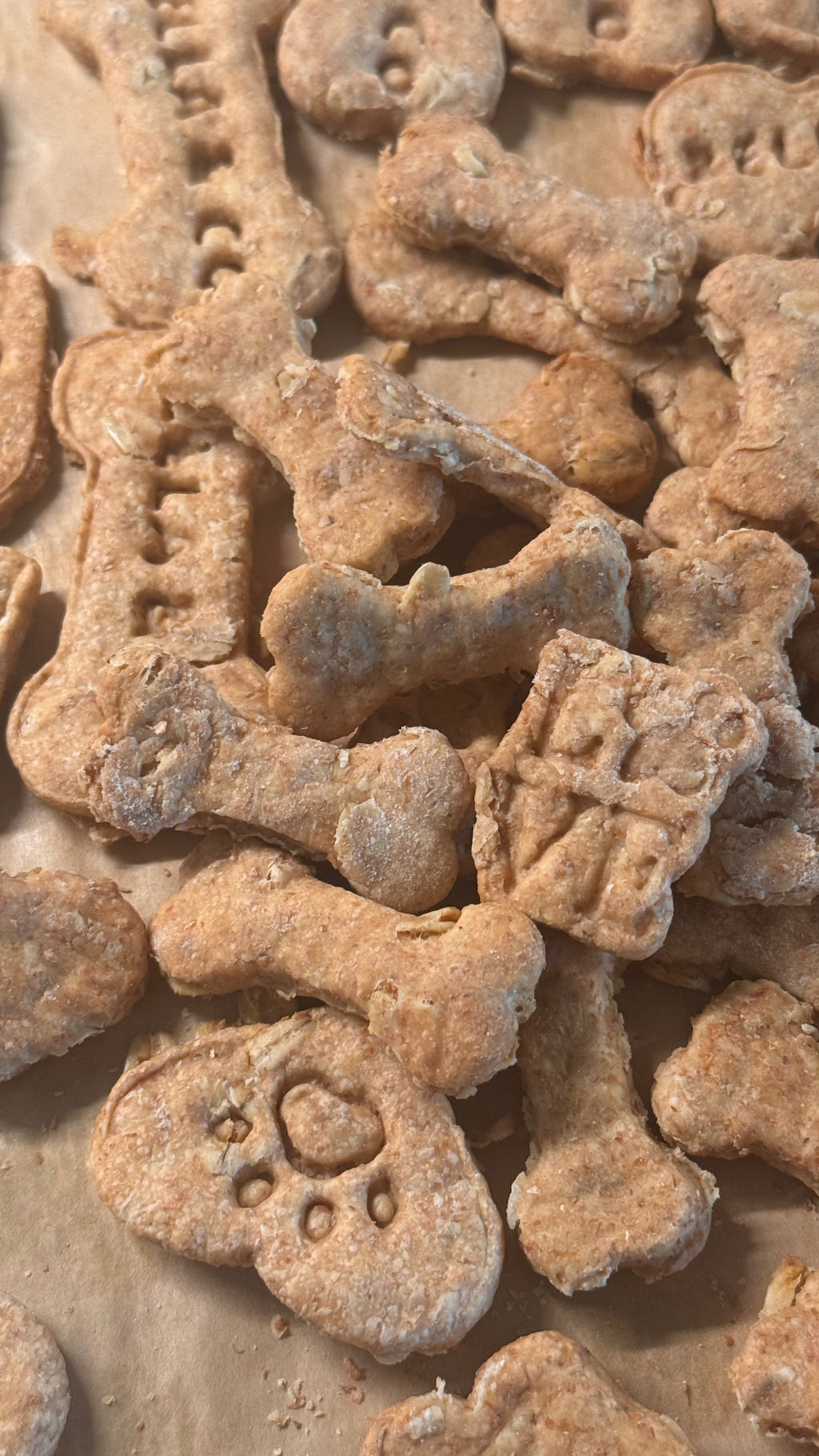 All Natural No Preservatives Dog Biscuits