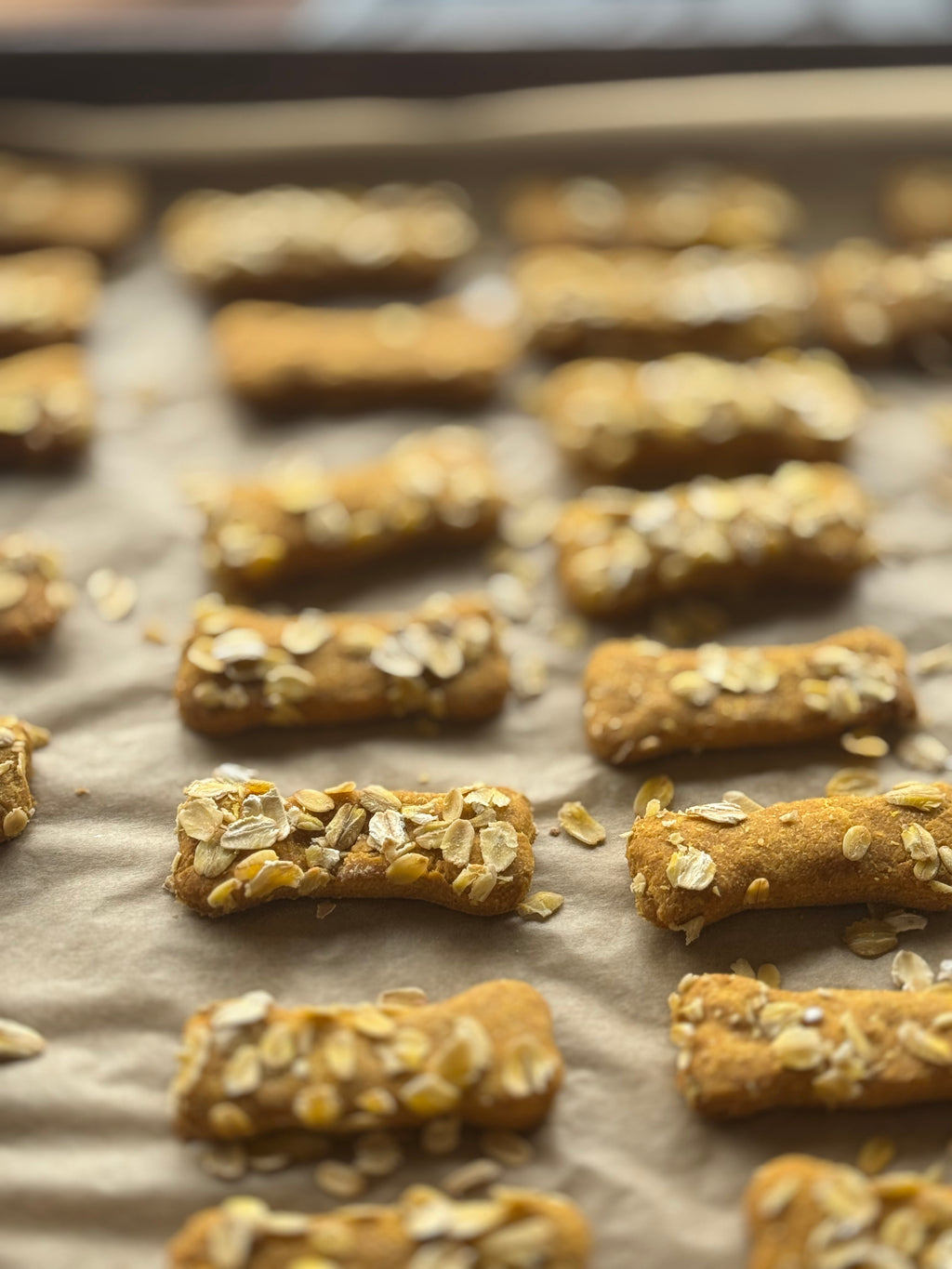 All Natural No Preservatives Dog Biscuits