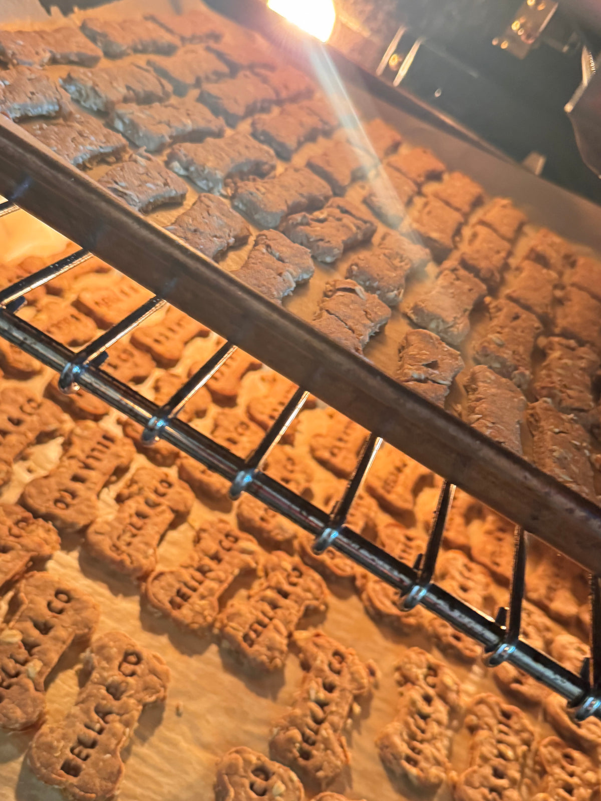 Dog Biscuit Sampler Pack – Try All the Flavors!